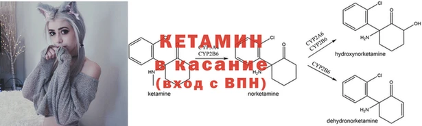 дмт Белокуриха
