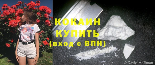 дмт Белокуриха