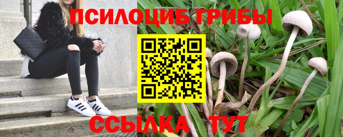 Псилоцибиновые грибы мухоморы Верхний Уфалей