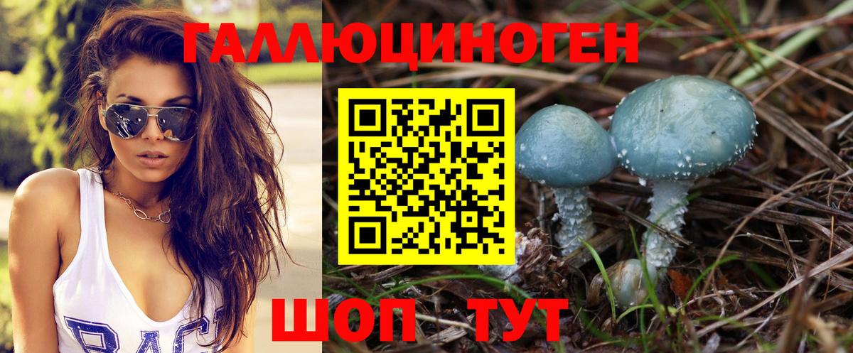 Псилоцибиновые грибы GOLDEN TEACHER  Вход с VPN  Верхний Уфалей 