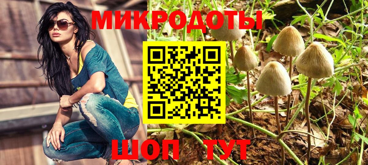 Галлюциногенные грибы Psilocybine cubensis Верхний Уфалей